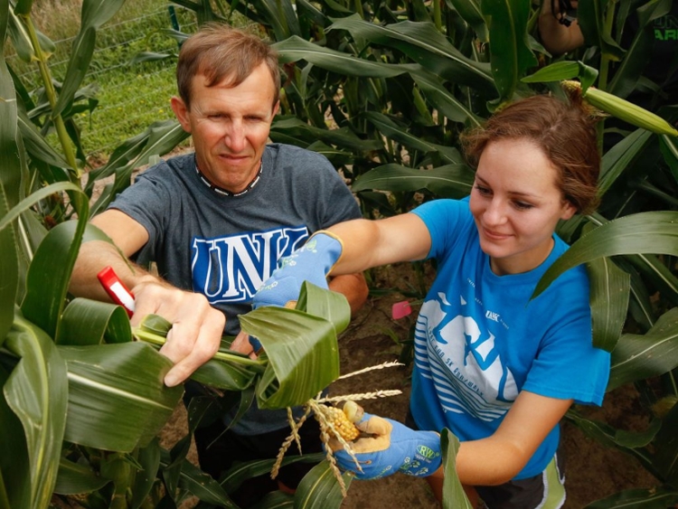 Professor and student pruning